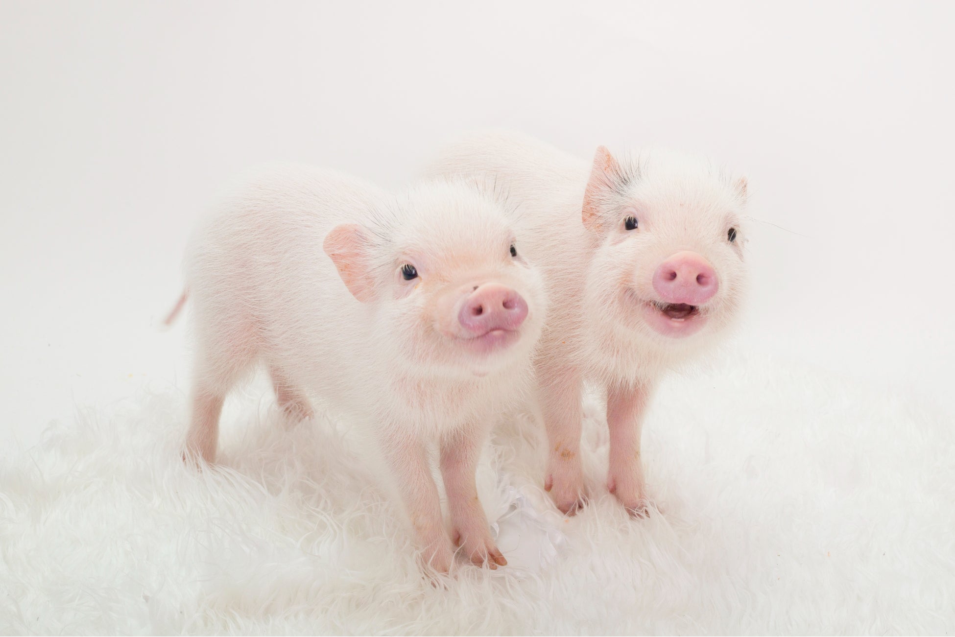 『出前館』で「ローソン」のデリバリーサービスを開始!