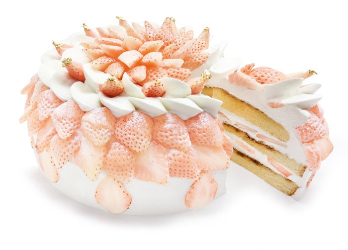 カフェコムサは毎月22日がショートケーキの日！2月は希少な「白いちご」をふんだんに使用したショートケーキが登場