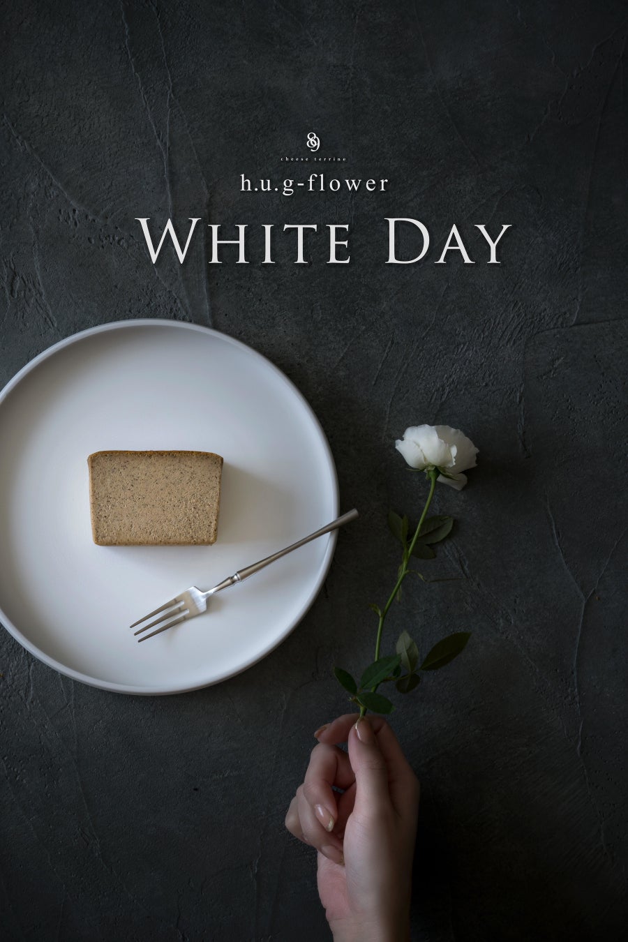 【新色展開】ほんとにダンボール？『レザー調』発売！