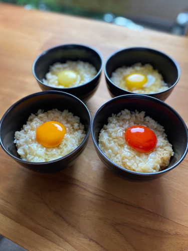 元気で長生きするための基本は、毎日の食事。ラクしておいしく、健康キープ！ 『ＮＨＫきょうの料理セレクション 藤井恵のシニアのからだ元気レシピ 』発売