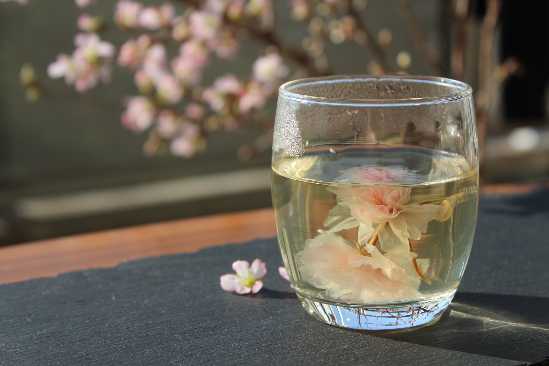 ≪福屋八丁堀本店東館10階≫HIROSHIMA2016 RESTAURANT UNDER THE SKY「ストロベリースイーツビュッフェ ～屋上テラスでストロベリーパーティー～」開催！