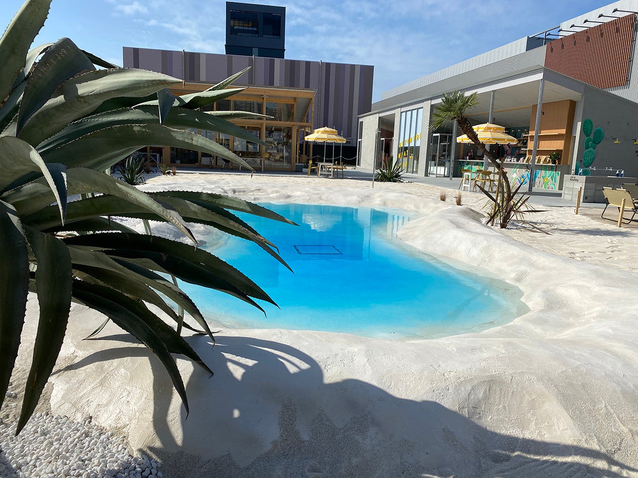 3月7日(月)より提供開始！淡路島の玄関口“淡路ハイウェイオアシス”グルメ・フードコート「おあしすキッチン」より新メニュー登場！