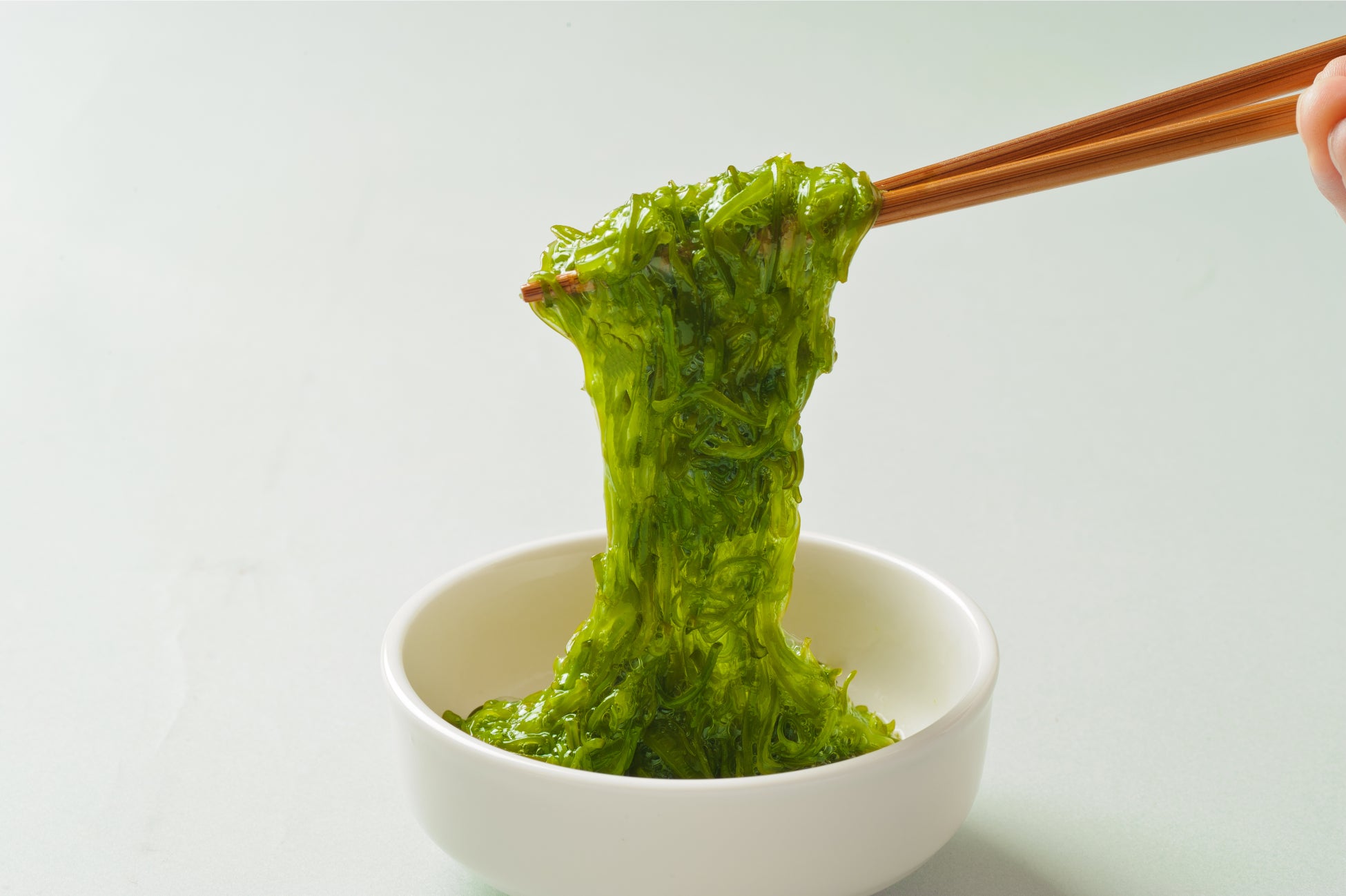 【代替肉をさらに美味しく】プロの料理人が挑む代替肉の料理コンテストが京都で開催