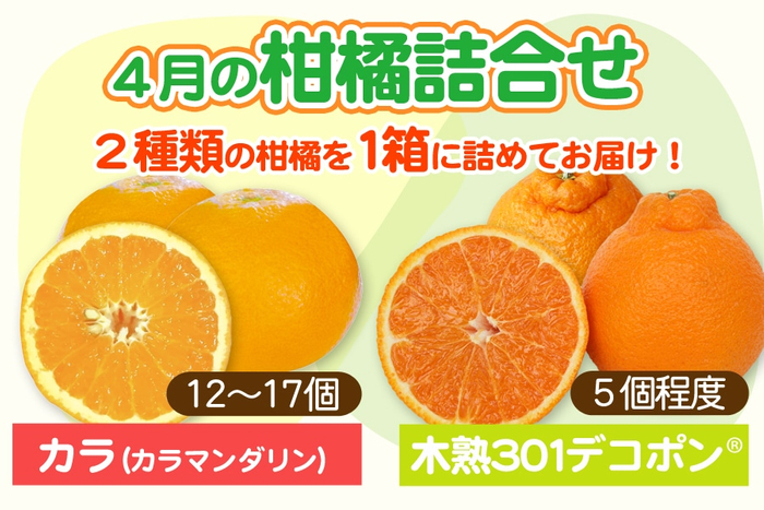 旬のミカンを一度に味わえるちょっと贅沢な詰め合わせ！ 産地直送通販サイト「ＪＡタウン」で和歌山県産”４月の柑橘詰め合わせ”を販売開始！