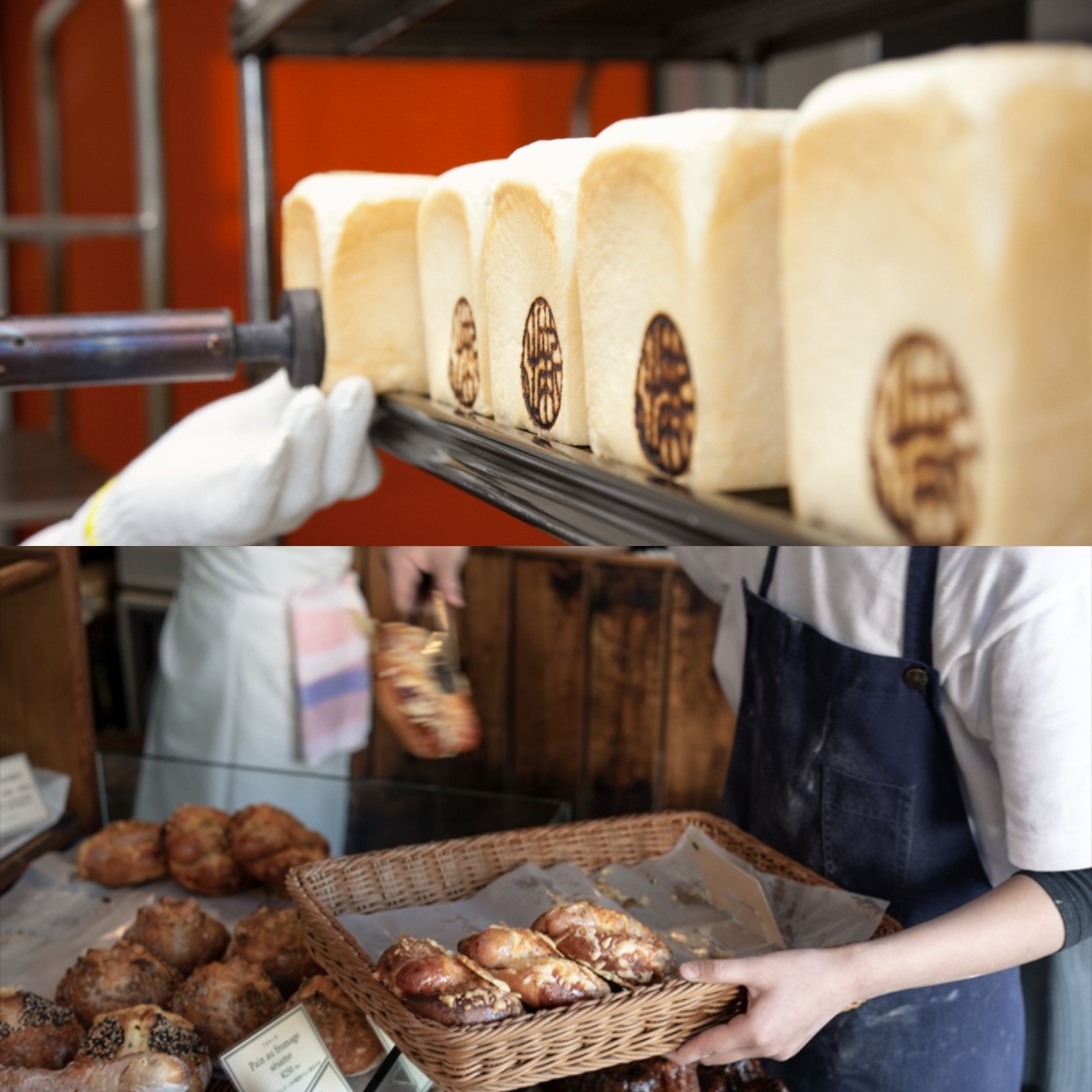 「シスコーン」シリーズ6品 (3月14日発売)