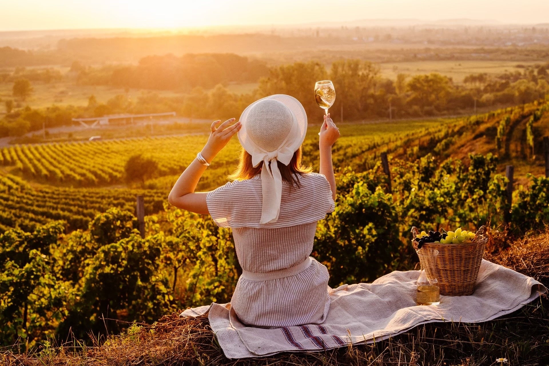 圧倒的な注目を集める 台湾カステラ【銀座 台楽蛋糕(タイラクタンガオ)】　　3月4日より「エキュート立川」にて期間限定で販売