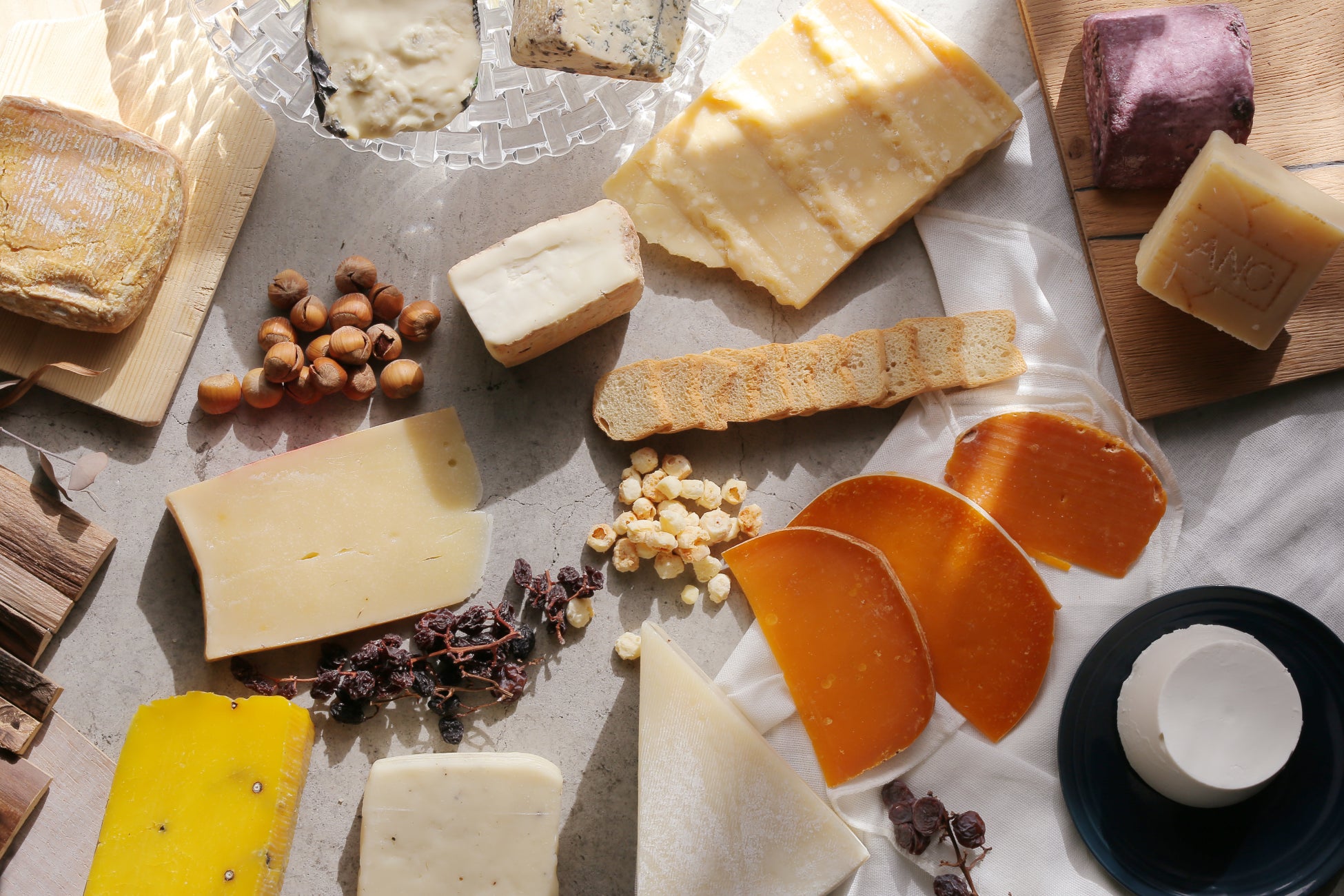 「船と街」をつなぐ魅力溢れる船旅「淀川浪漫紀行」2022年度も運航決定!!