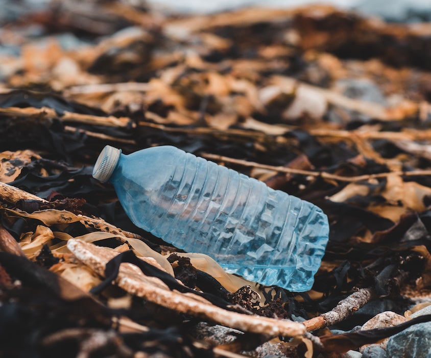 発見！ふくしまお魚まつり東京下町〝三大銀座〟お弁当ジャックin ジャパン　フィッシャーマンズ　フェスティバル ３月24日（木）～27日（日）