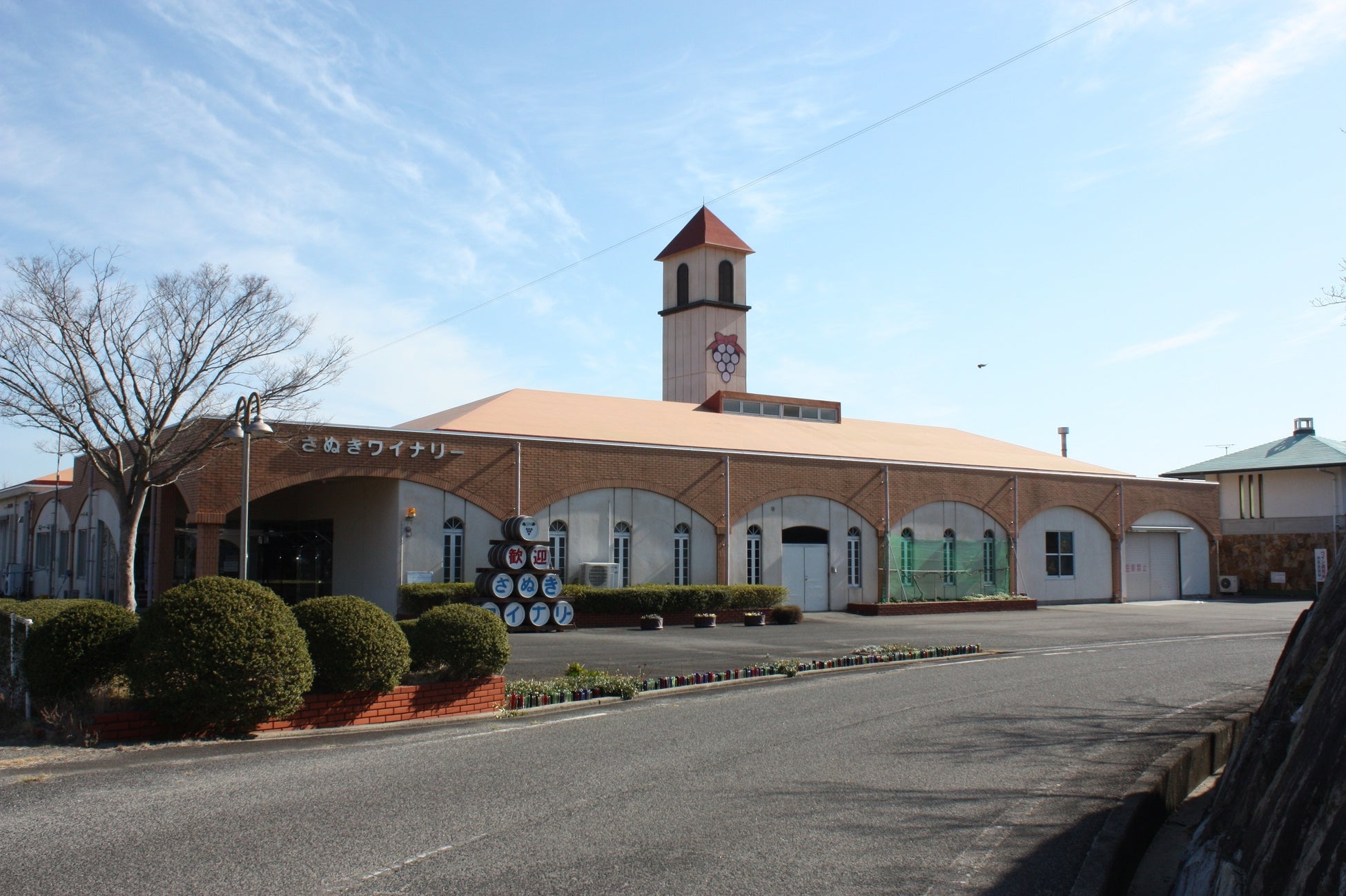 【ダンボール製】ファイルボックス(新発売)