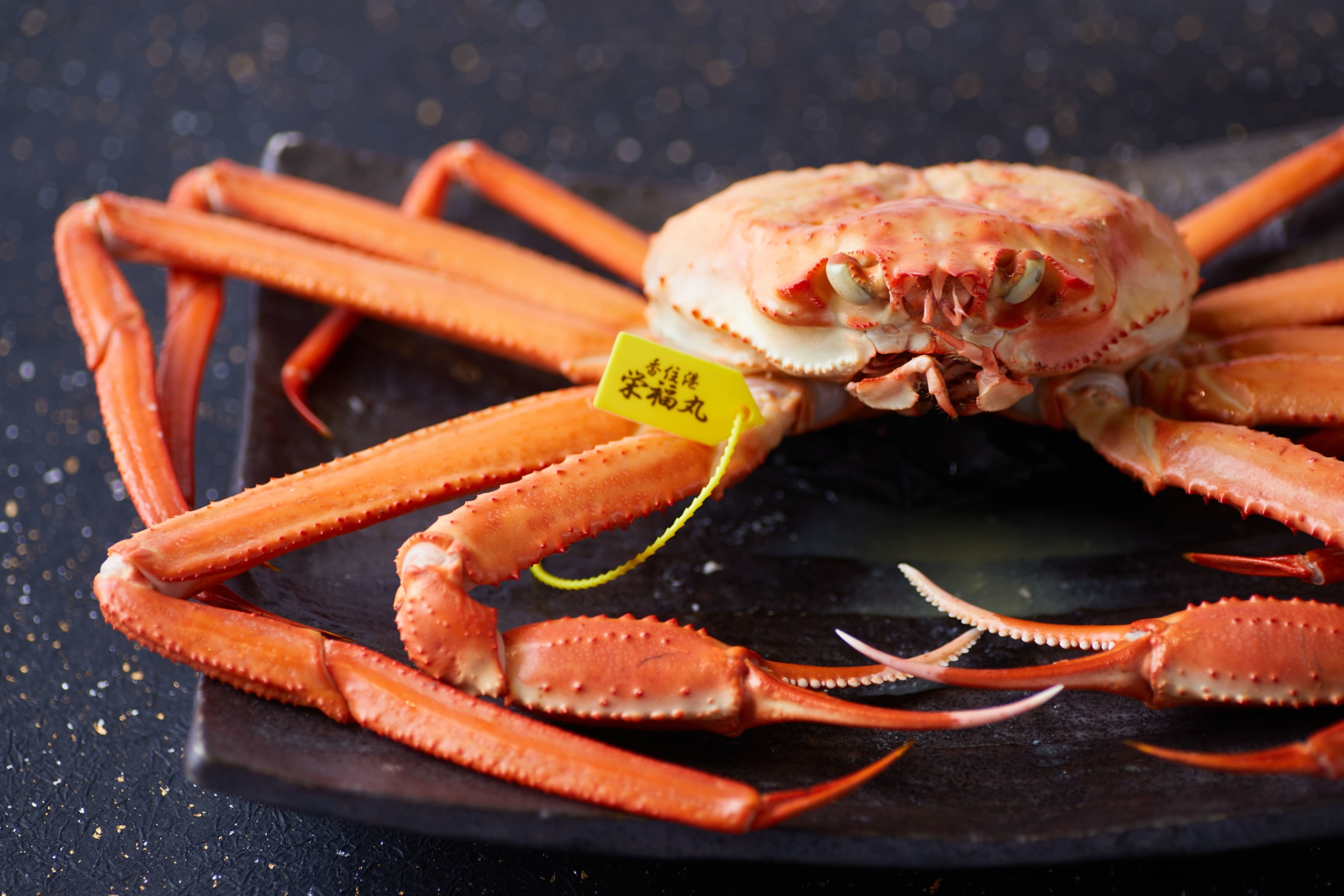 イースターをバニースイーツで祝う【gelato pique cafe(ジェラート ピケ カフェ)】がお届けする『Happy Bunny Hunt(ハッピー バニー ハント)』がスタート！