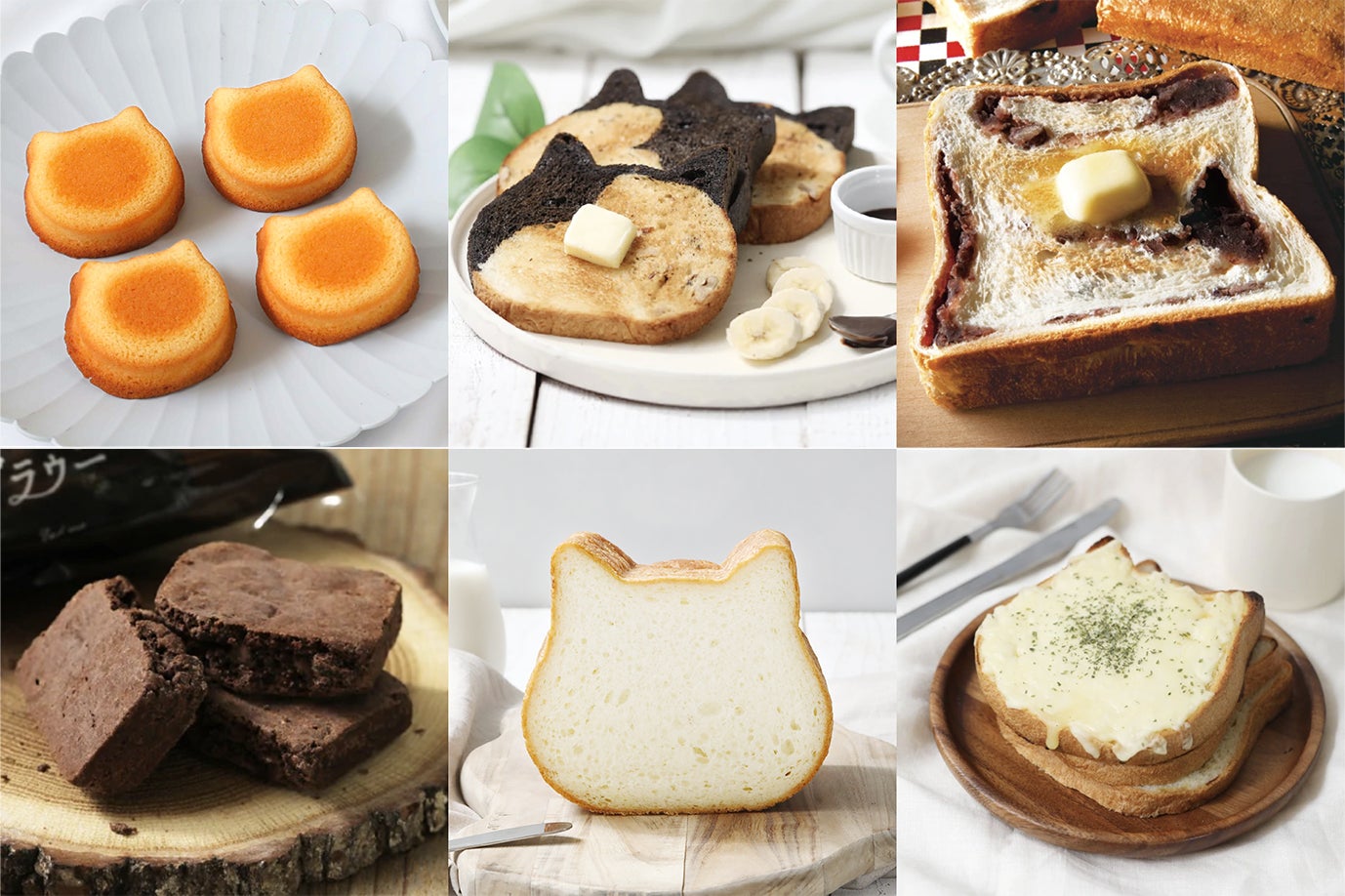 【蔦屋書店】3/27(日)開催 ライブコマースイベント「イケメン日本酒講師の地酒と食のペアリング～旅するLiveShopping～」現地スタッフ厳選の地酒と食をライブでご紹介