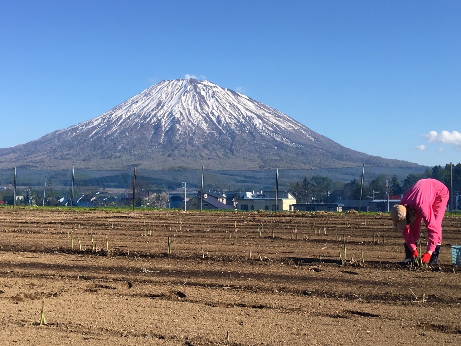 【フォロワー19万人突破！食しん坊の心を掴む書籍も多数！】ライター兼料理好きなインスタグラマーarikoさんプロデュース。国産天然素材にこだわった無添加出汁パック「ありこだし」発売開始！