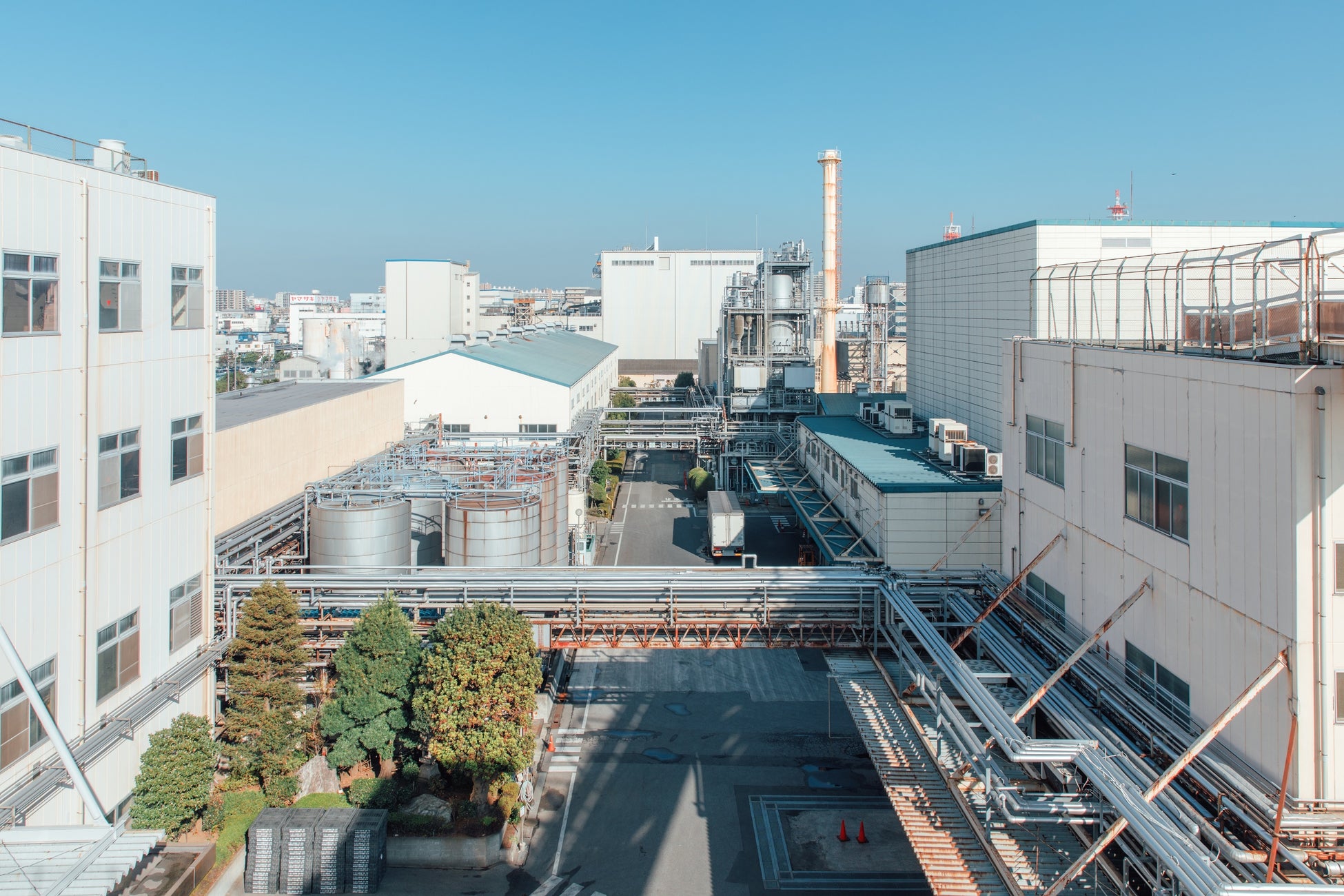 発酵と熟成がテーマの日本料理レストラン GINZA KUKI 4月コースのご案内 宮崎県産無農薬熟成ザブトン木耳など産地にこだわった食材を厳選し提供