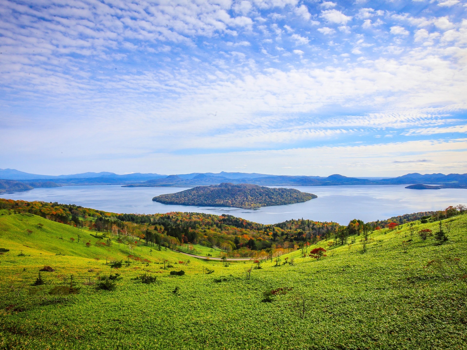 「ウラマヨ！」などTV出演多数！
話題の「トラパン」がおうちで楽しめる！
「牛乳屋さんの食パン メルクパン」
公式オンラインショップがオープン　
～4月30日まで数量限定のお得な福袋を販売～