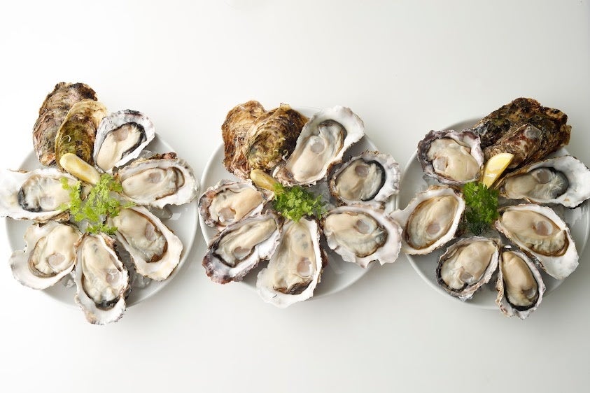 忙しい「ひとり親」のお夕飯準備時間を自分の時間にするためのクラウドファンディングを開始します