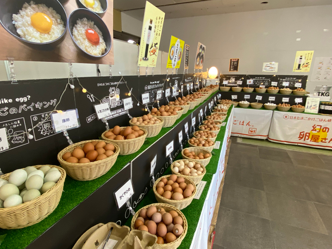 【新発売】内圧監視機能で風味長持ち。ワイン好き必携の手間ゼロワインストッパーが予約開始!