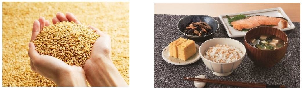 オイルを通じた豊かな生活をお届けするコミュニティサイト　「With Oil」　4月7日(木)オープン！