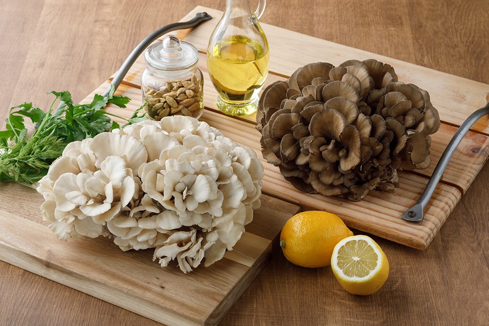 オープンキャンペーン実施決定！レモンサワー飲み放題無料！？