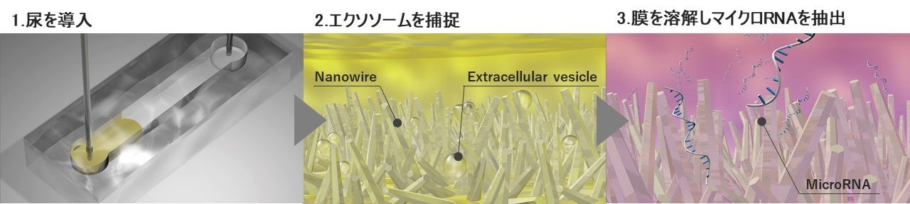 地中海レモン100％のはじける香り！ねんりん家から、爽やかな夏のバームクーヘンが新登場。全国通販も受付中