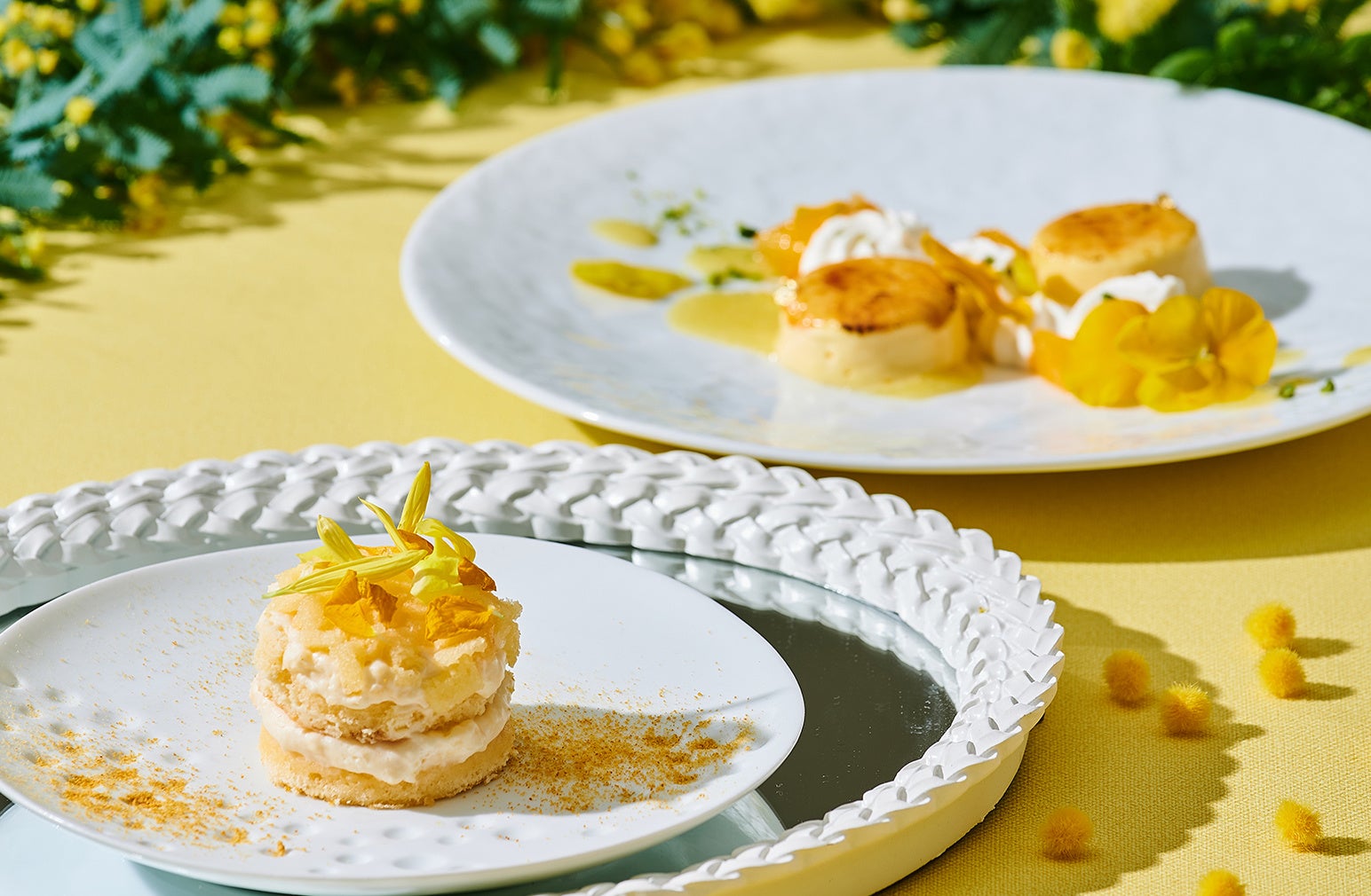 【ロマンスカーミュージアム×おだむすび】ロマンスカーミュージアム開業１周年を記念し、相互割引キャンペーンを開催