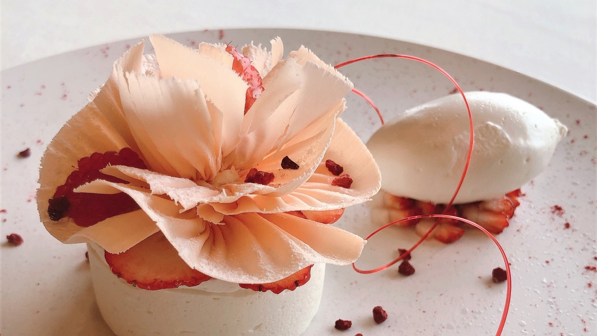 BBQ奉行 KYOTO TOWER　2022.4.29（fri）OPEN！