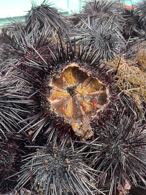 時短家事の新定番　ドイツ発世界人気No.1ミールキットブランド　HelloFreshが日本上陸、アジア初進出　～お客様のライフスタイルに合わせた簡単おうちごはんを提供～