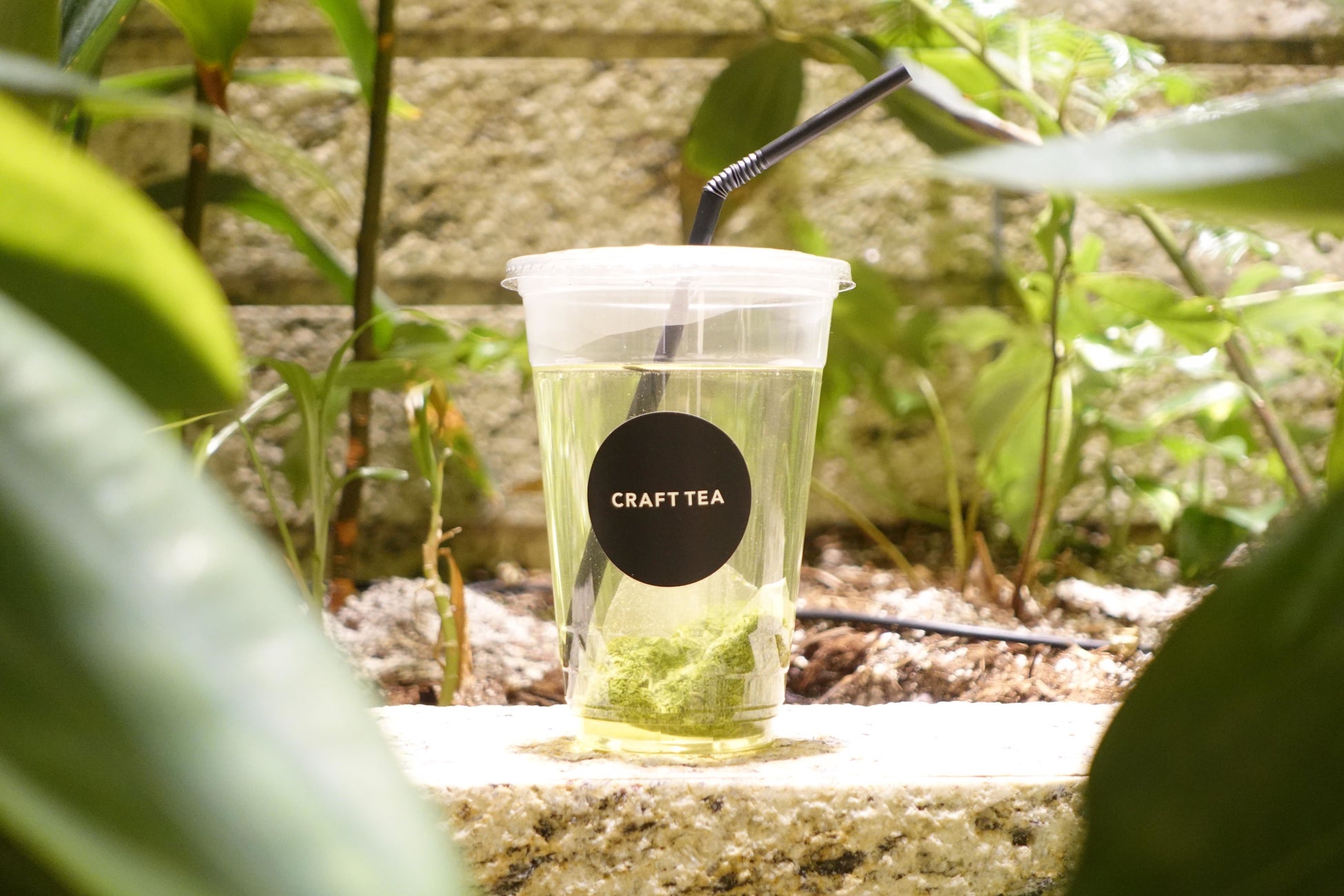 東北・中国・四国・九州地方、京都府を巡るロイズ「移動販売車」の5月までの出店情報。「生チョコレート［オレンジ＆マンゴー］」など期間限定商品も販売します。