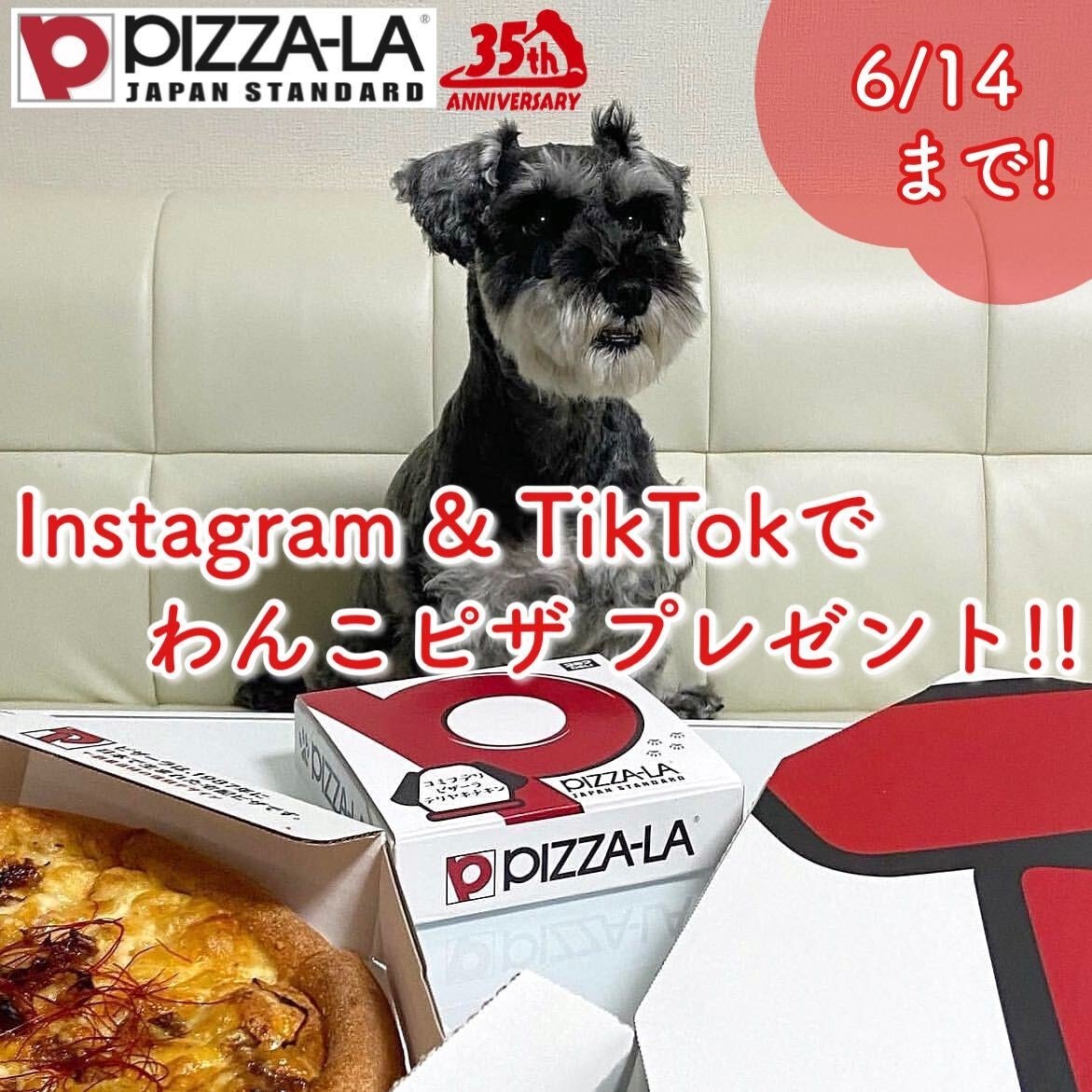 【丸源ラーメン】全国181店舗目！『丸源ラーメン 富山豊田店』が2022年５月20日(金)グランドオープン！