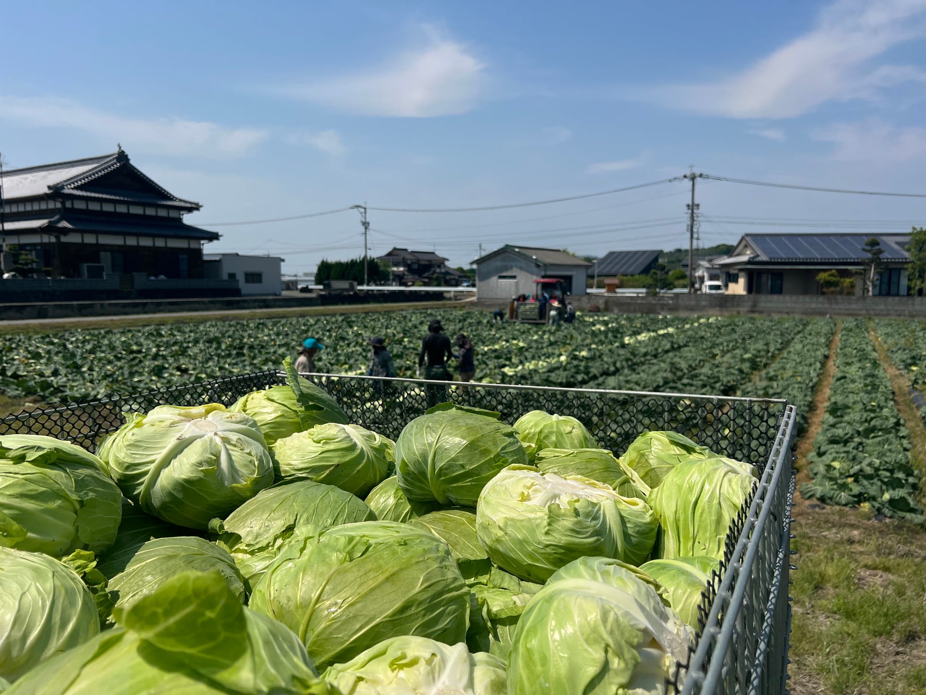 ニッスイ企業CM「GOOD FOODS for YOU(速筋タンパク篇)」、5月20日から全国で放送開始