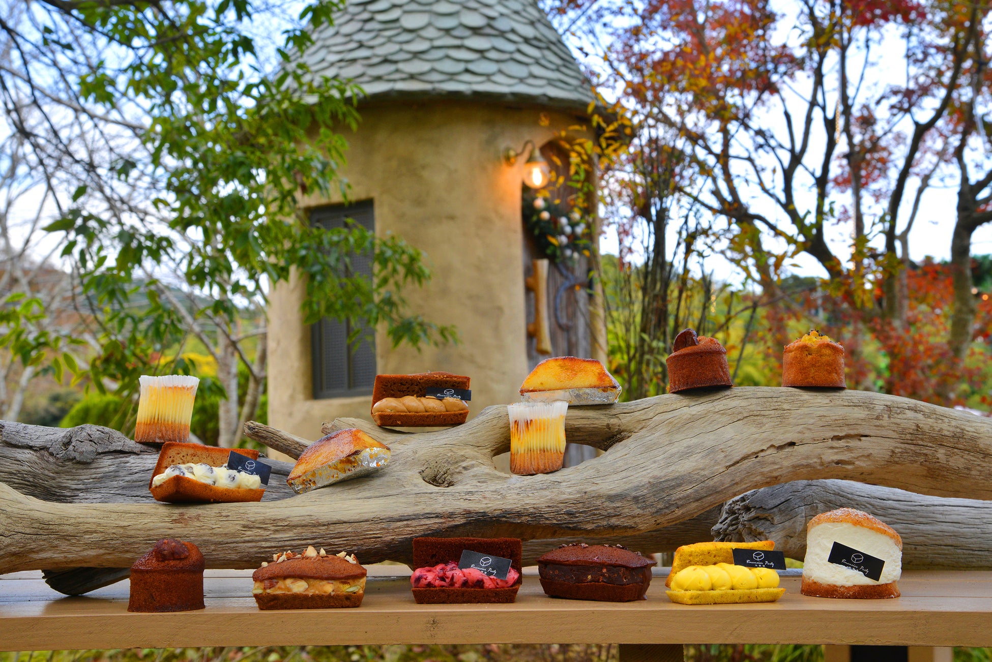 【5/30はごみゼロの日】家庭料理におけるごみゼロを目指す！作り置きシェフ「シェアダイン」がごみゼロ調理の動画を公開