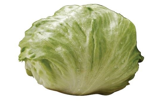 【小麦の奴隷 北九州小嶺店】オープン1周年祭開催！ミニラスク配布でお客様に日頃の感謝をお届け