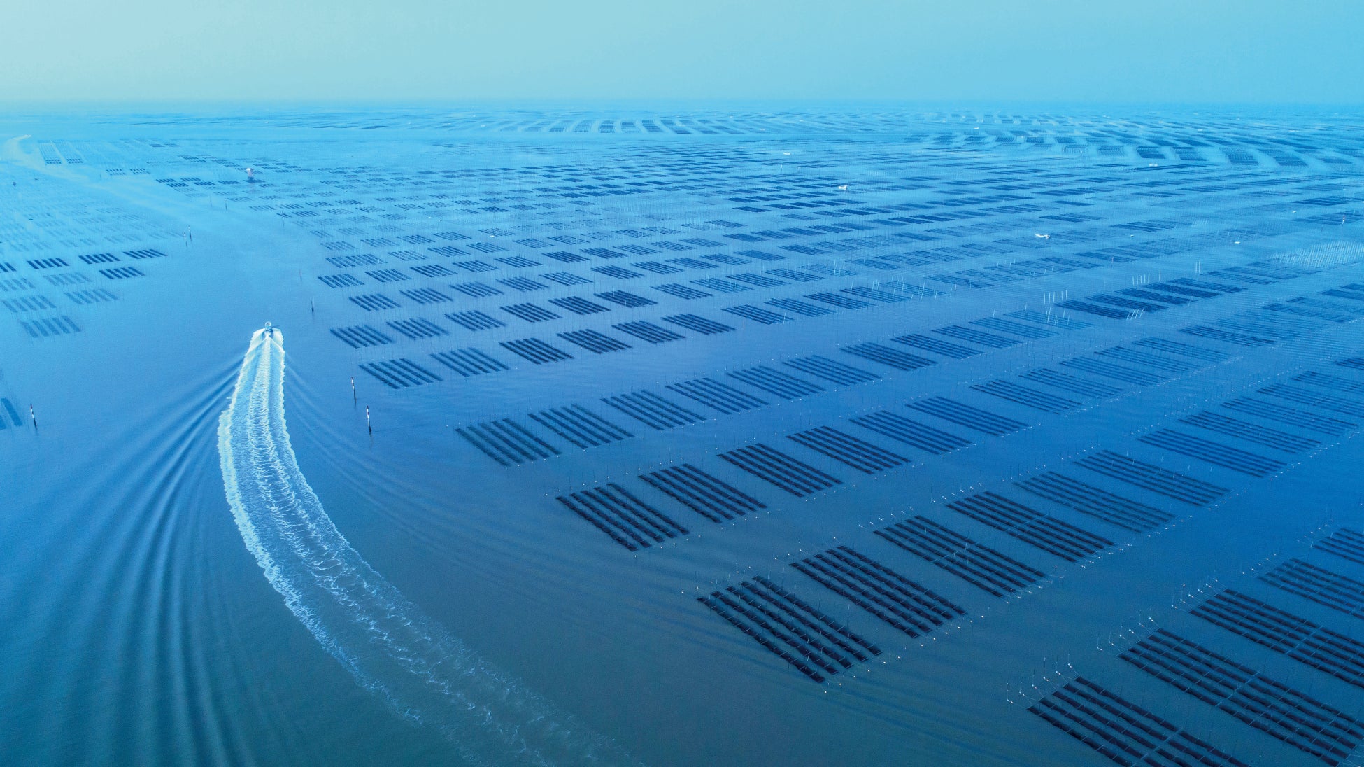 『らあめん花月嵐Evolution』下北沢駅前に登場!!