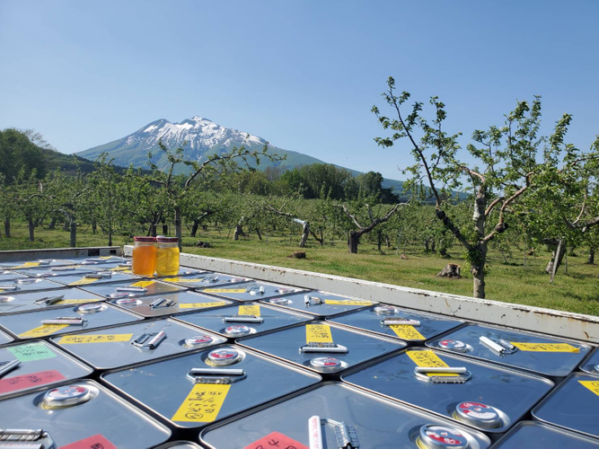 \おいしい!かわいい!おもしろい!と大好評/久世福銘菓コラボが勢ぞろい!【久世福商店】