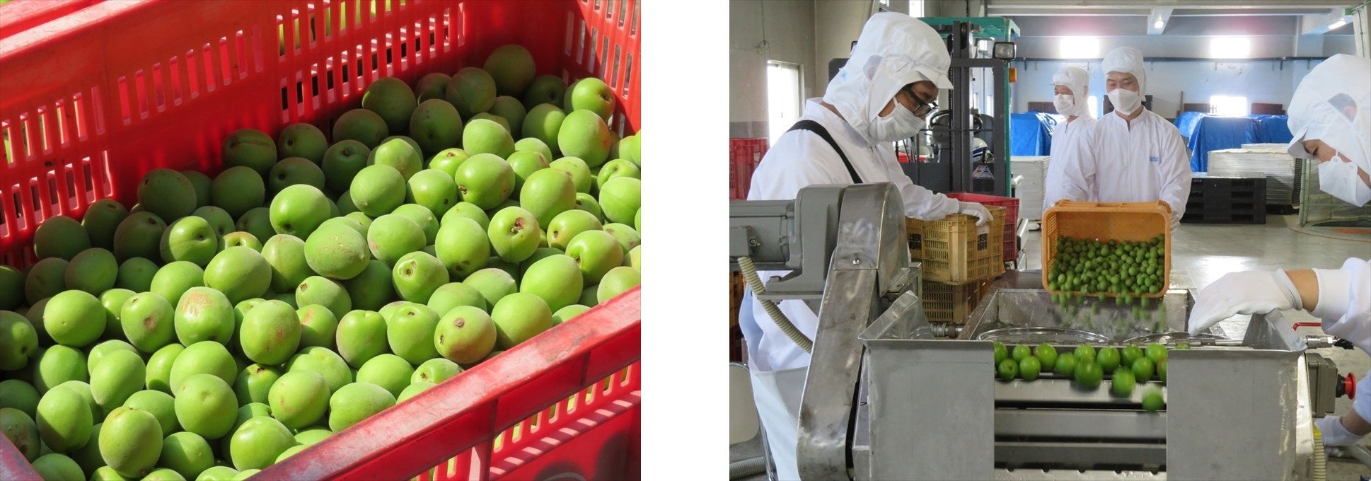 NewDaysのEKI na CAFEチルドカップシリーズがパッケージを一新してリニューアル新発売！