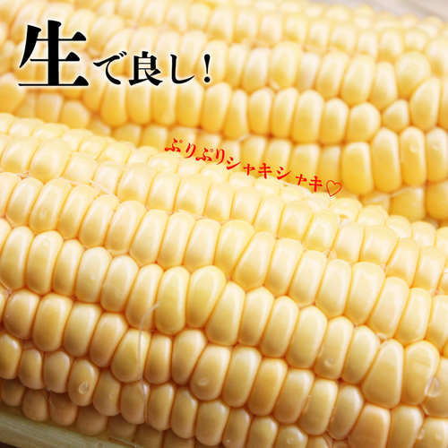 「埼玉縁結の白い生食パン」がエキュート上野&
そごう大宮店に登場 季節限定「狭山新茶パン」発売!