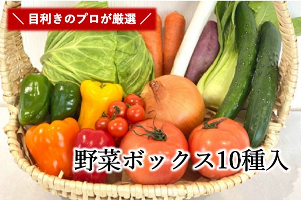 日本全国の産地を見てきたプロ集団が厳選！産地直送通販サイト「ＪＡタウン」で「野菜ボックス１０種入」のセールを開始！