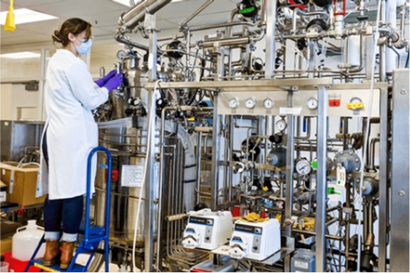 CVCファンド「KIRIN HEALTH INNOVATION FUND」が発酵技術を用いた甘味タンパク質を開発・製造するJoywell社に出資