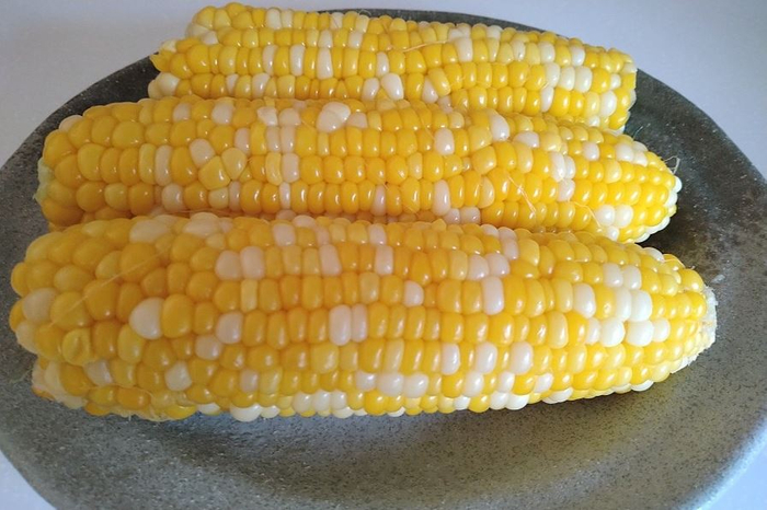 毎月１０日は「魚の日」！  産地直送通販サイト「ＪＡタウン」でこの日限りの「魚の日限定セール」を開催