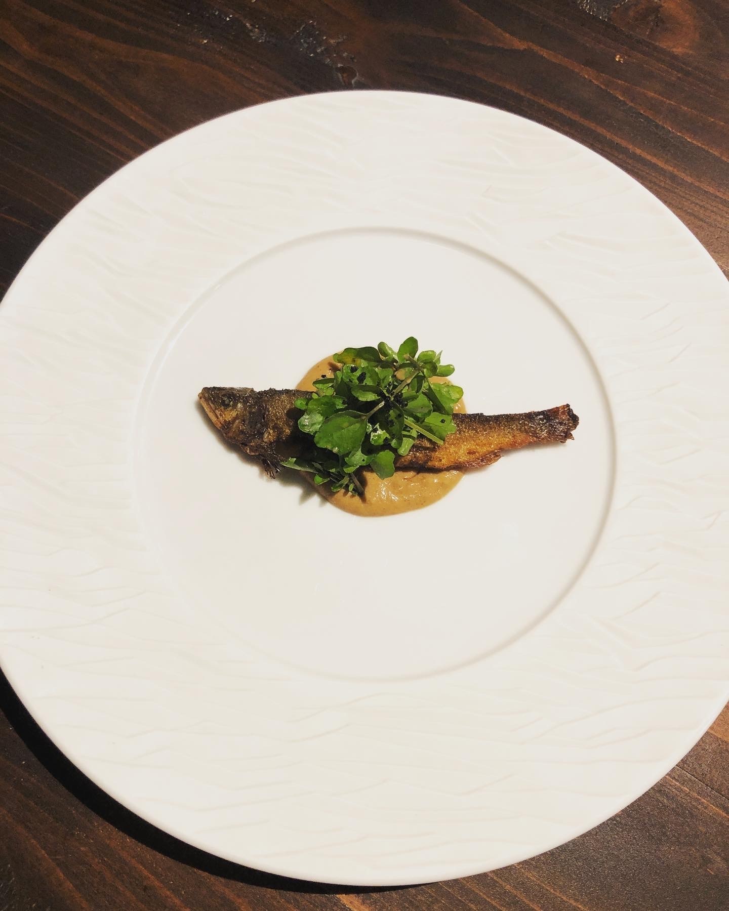 【新店】ディプント、商業施設「KITTE博多」に初出店!