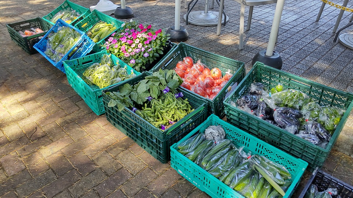 地産地消に貢献！地場野菜販売が続々決定。6/30(木)光が丘公園,7/2(土)代々木公園,７/２(土)~３(日)小金井公園