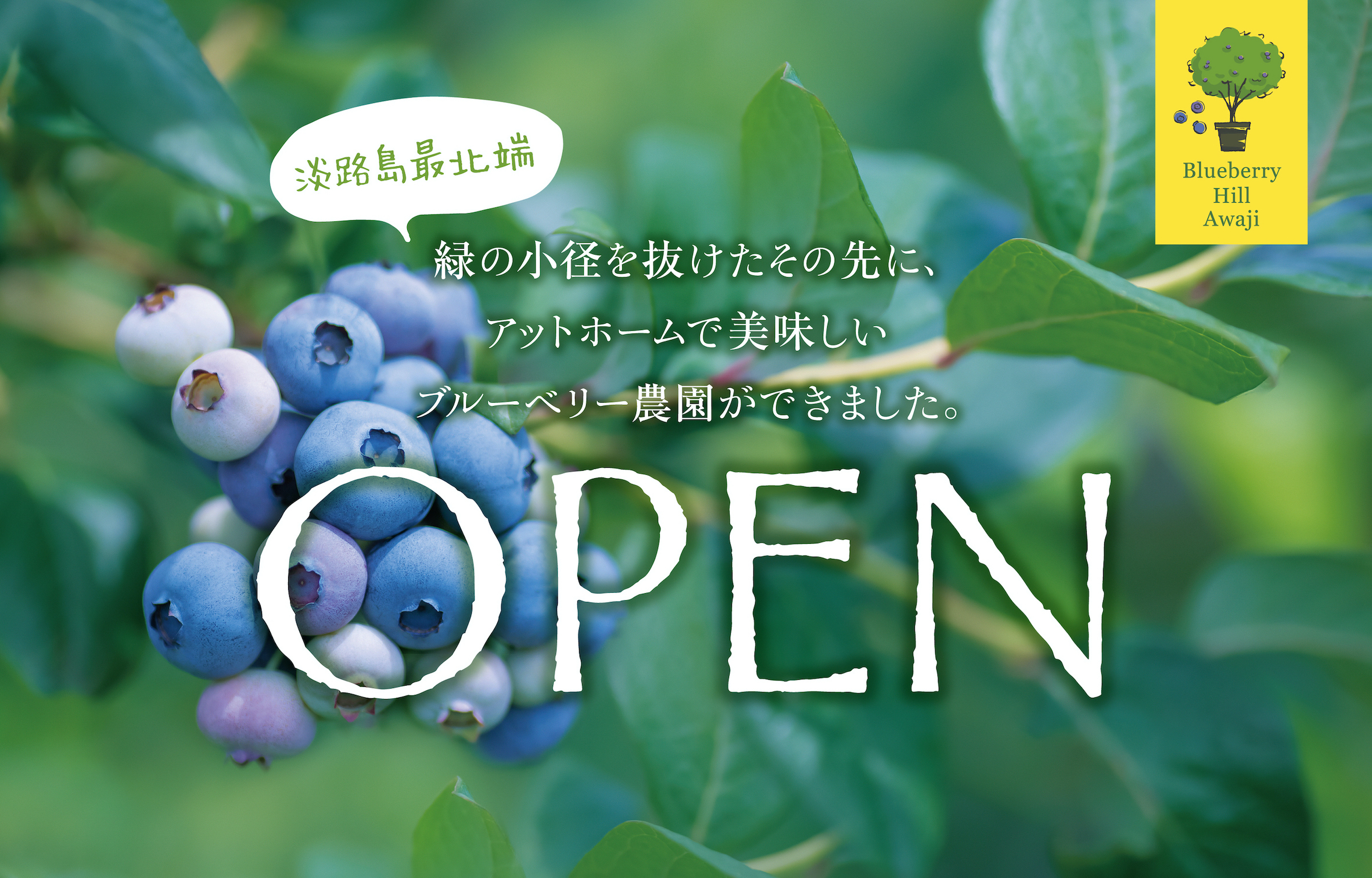 地産地消に貢献！地場野菜販売が続々決定。6/30(木)光が丘公園,7/2(土)代々木公園,７/２(土)~３(日)小金井公園