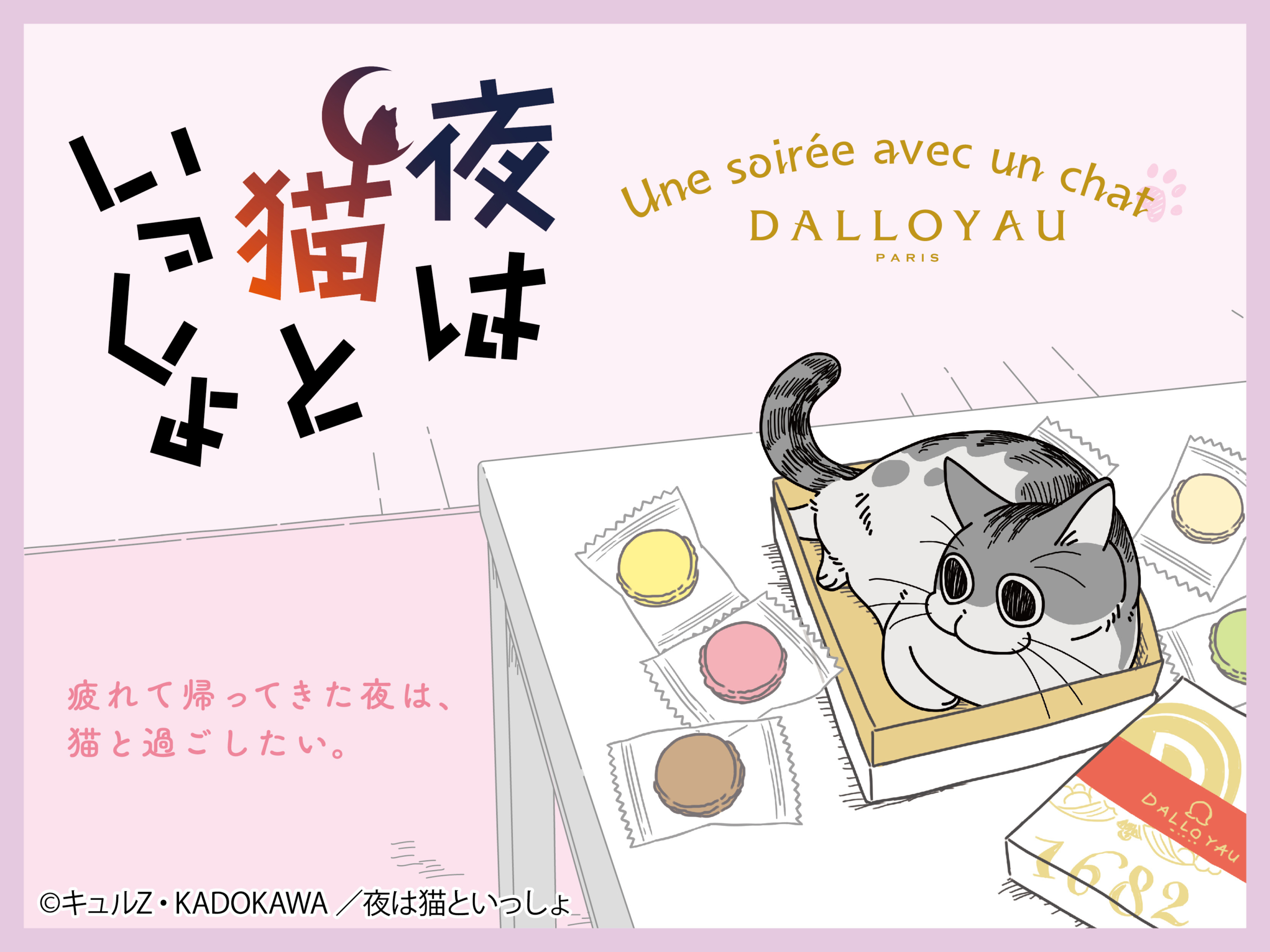 猫の“キュルガ”が話題の「夜は猫といっしょ」と
フランス洋菓子ブランド「ダロワイヨ」がコラボ！
オリジナルイラストが入った期間限定商品を7/19に発売！