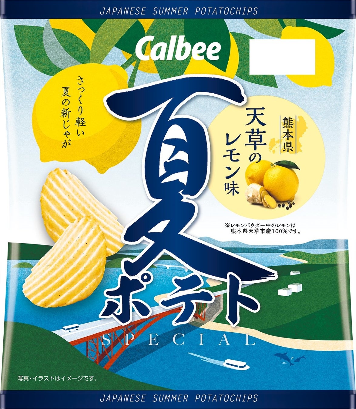 ～料理のおいしさ、しんかチュウ！～「日清やみつきオイル」「ＢＯＳＣＯシーズニングオイル」期間限定「ポケモンのデザインボトル」が７月１日（金）から全国で発売