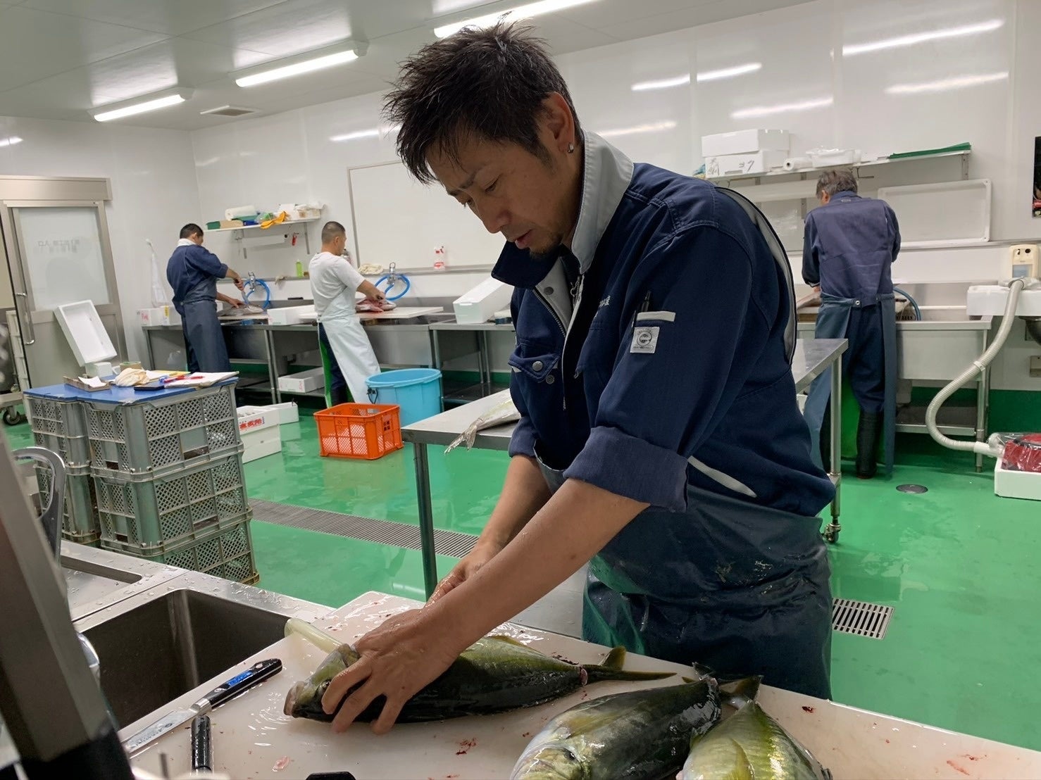 魚好きでは超有名！あの「津本式」の技術を3カ月の寿司職人養成学校で身に付けられる!!うま味アップ・長期保存可能の究極の血抜き!?業界注目の技術を習得し国内外で寿司職人として活躍できる人材を育成！