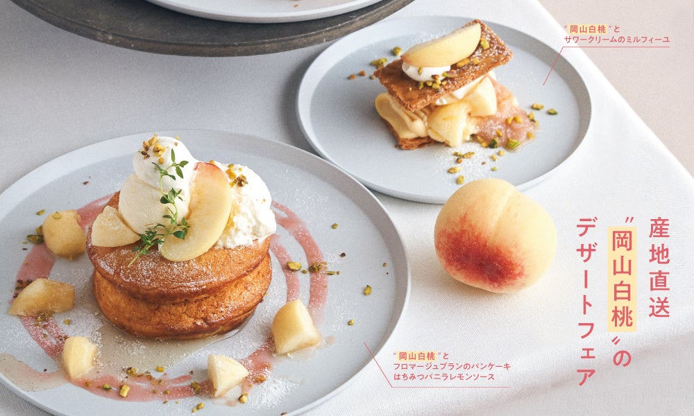 ～ギョーザ売上日本一の味の素冷凍食品（株）が目指した“おうち餃子の最高峰”～「黒豚大餃子」「海老大餃子」新発売　