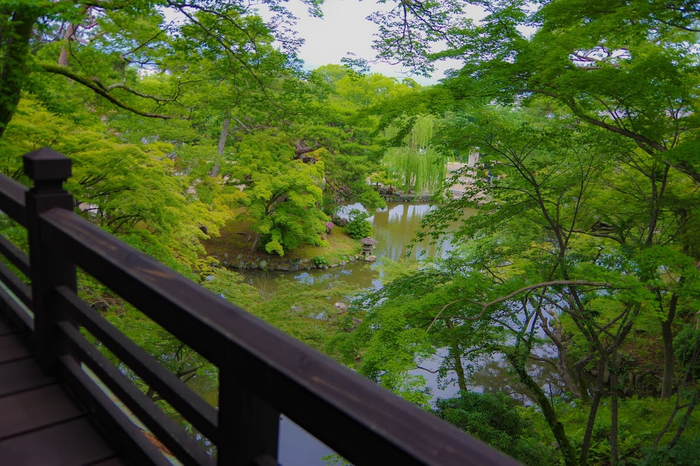 【完全京都感】祇園祭の隣にある静寂！青紅葉の圧巻絶景を見下ろしながら別格の“夏の和”を味わう　～eXcafe祇園八坂～