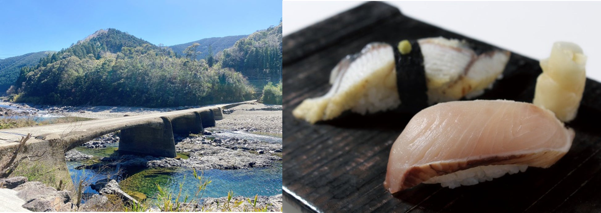 梅の生産量日本一、和歌山発「MOGA CHEESE TERRINE」から「MOGA 梅のチーズテリーヌ」が７月14日（木）に登場