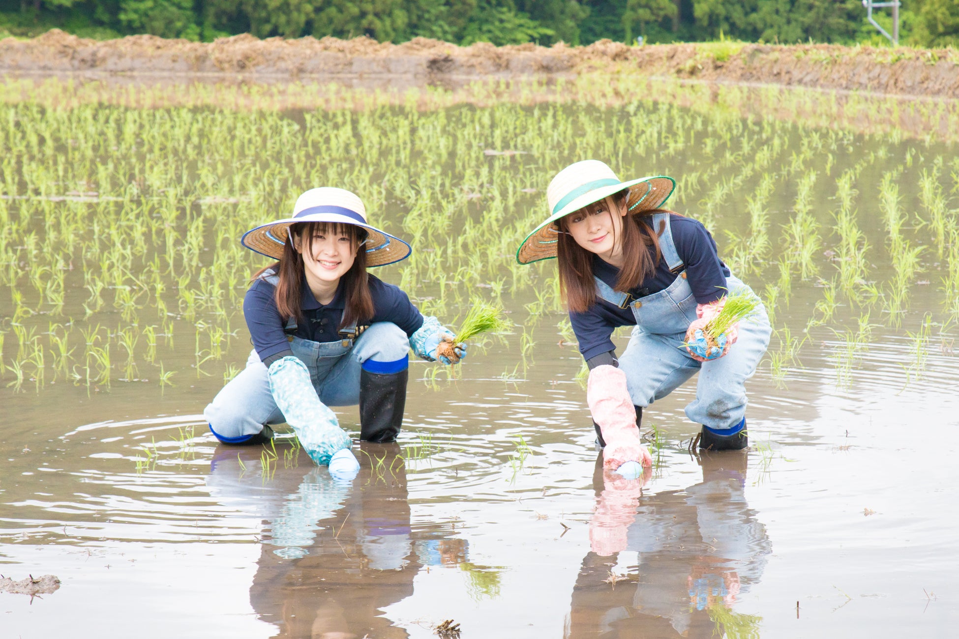 お酒好き声優 前田佳織里＆船戸ゆり絵が米作りからの酒造りに挑戦！プロデュース日本酒第二弾を予約発売開始！さらに、ふたりが田植えした食米「コシヒカリ」を同時予約発売開始！！