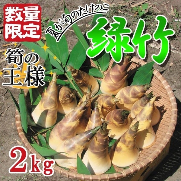 夏が旬の珍しいタケノコ！産地直送通販サイト「ＪＡタウン」で鹿児島県産「緑竹」を販売中！