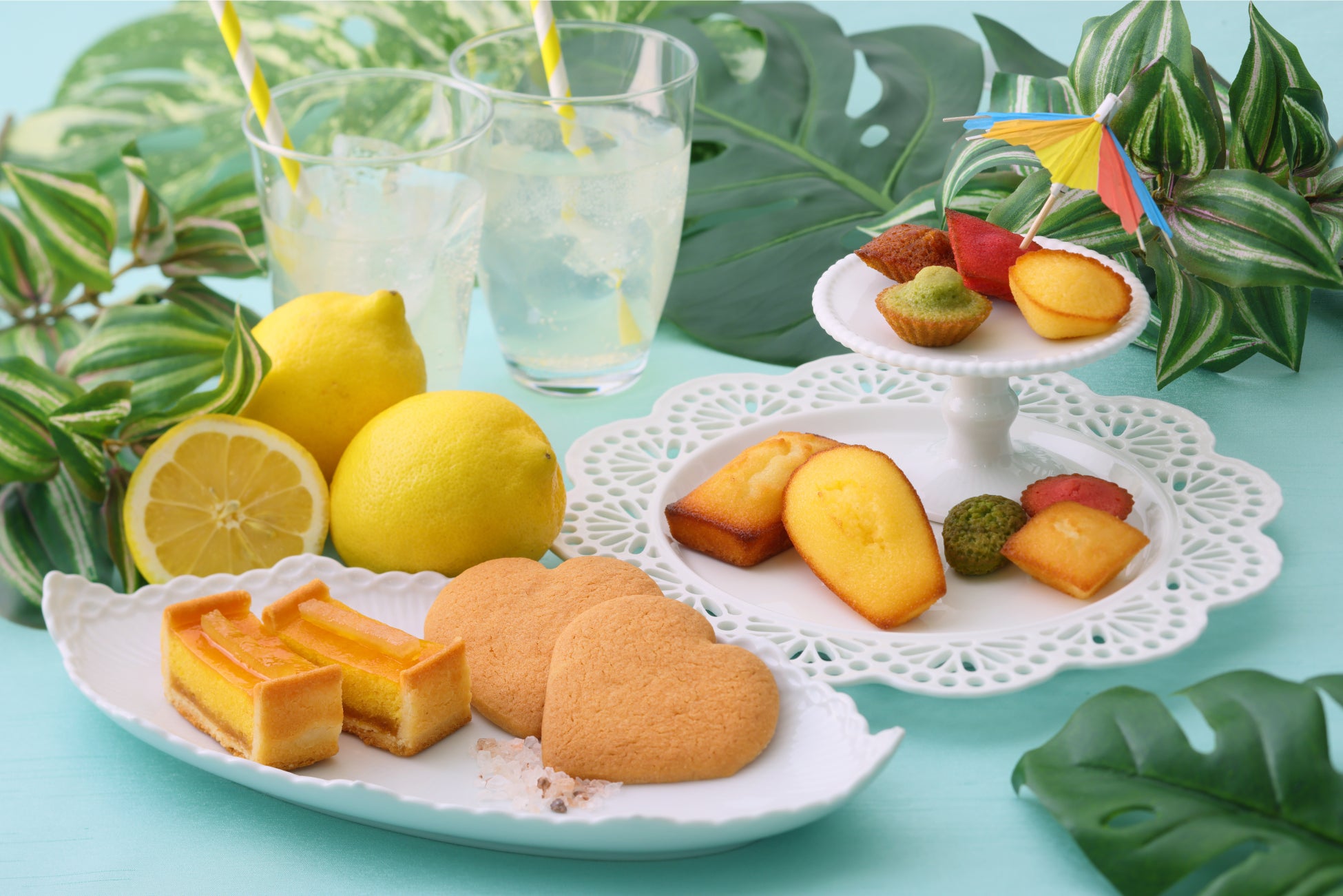 CVCファンド「KIRIN HEALTH INNOVATION FUND」が“女性に寄り添うウェルネスブランド”を展開する株式会社WRAY（レイ）に出資を決定